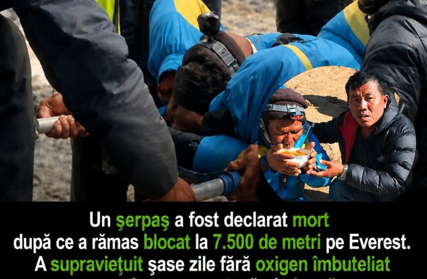 Supraviețuire incredibilă